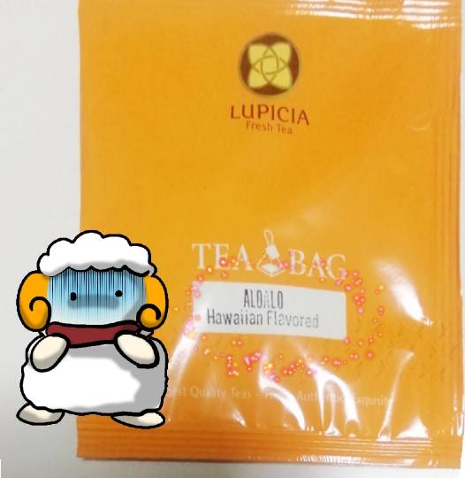 マスク同窓会詰所兼ニューフェイス歓迎所2