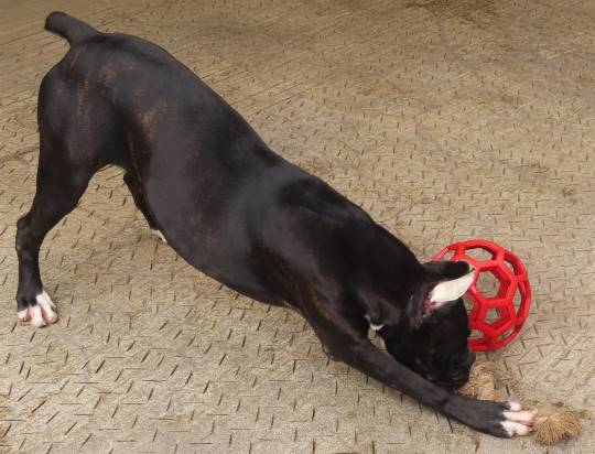 生き物ルーム第18