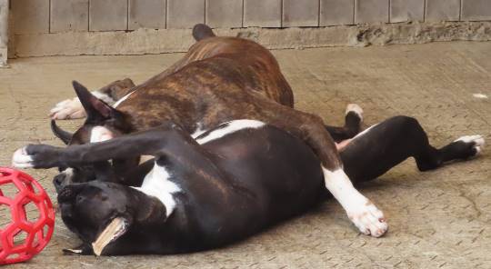 生き物ルーム第17