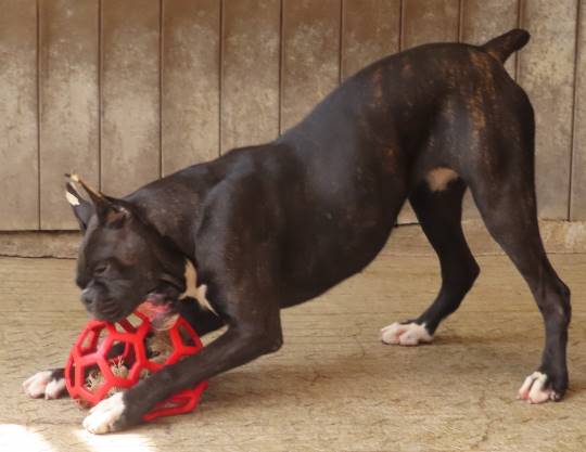 生き物ルーム第16