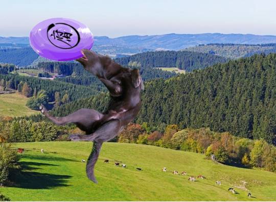 生き物ルーム第18