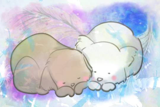 生き物ルーム第18