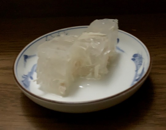 生き物ルーム第17