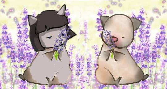 生き物ルーム第18