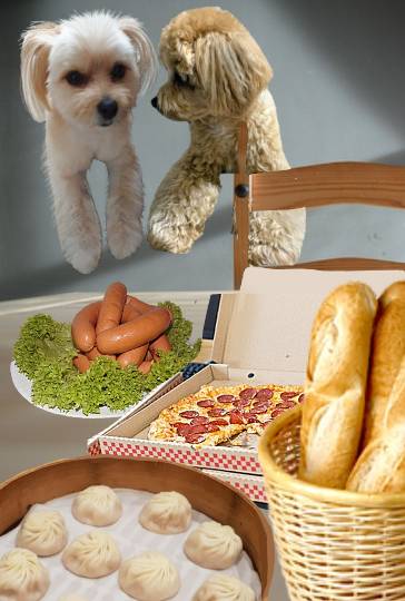 生き物ルーム第18