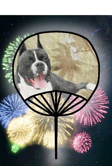 生き物ルーム第17