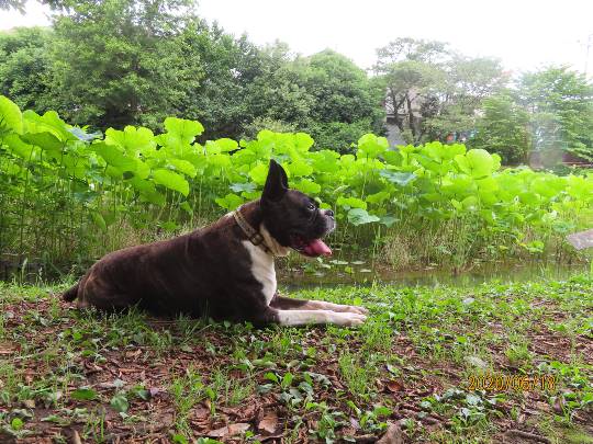 生き物ルーム第18