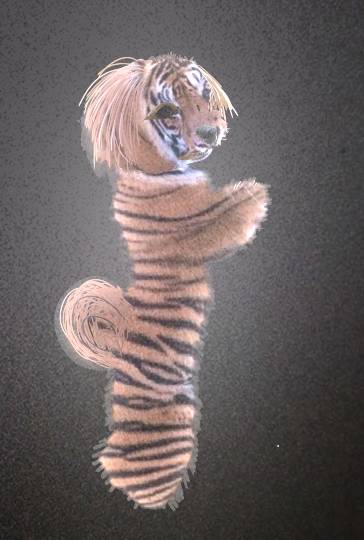 生き物ルーム第17