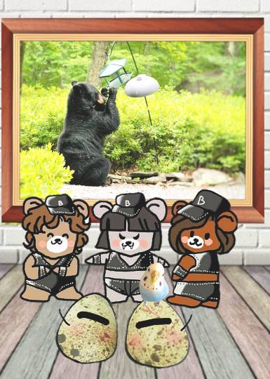 生き物ルーム第17