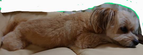 生き物ルーム第18