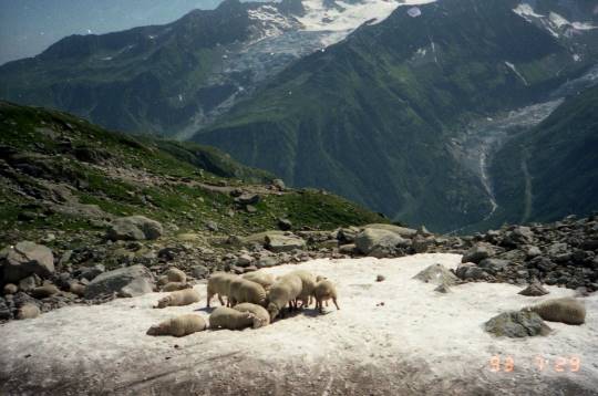 生き物ルーム第18