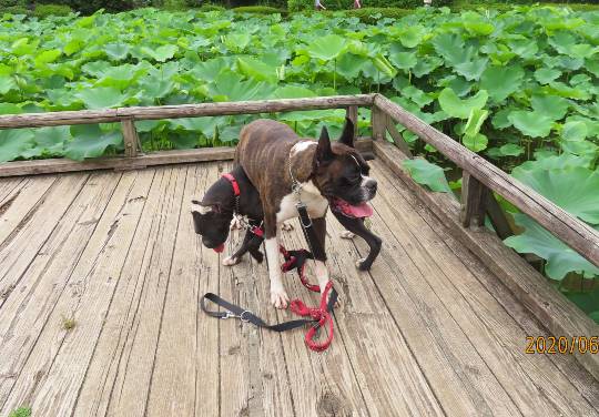 生き物ルーム第18