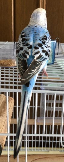 生き物ルーム第18