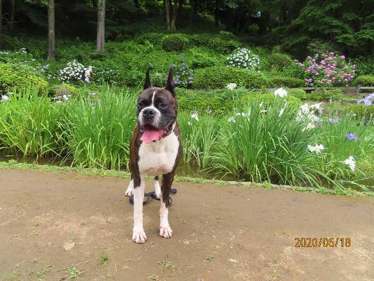 生き物ルーム第18