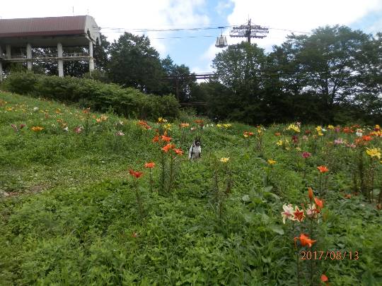 生き物ルーム第18