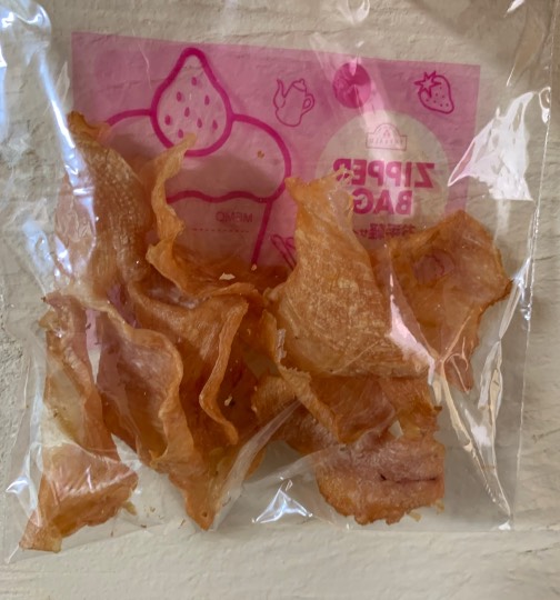 生き物ルーム第17