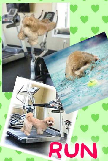 生き物ルーム第18