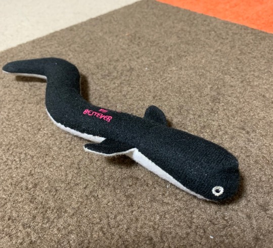 生き物ルーム第18