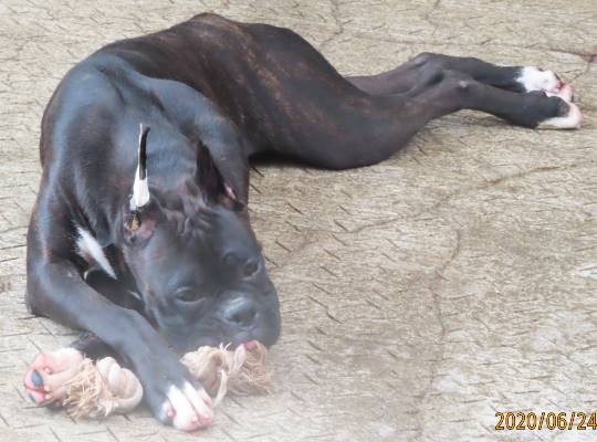 生き物ルーム第18