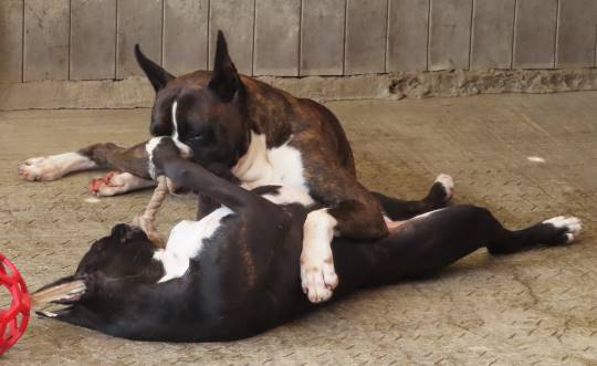 生き物ルーム第17