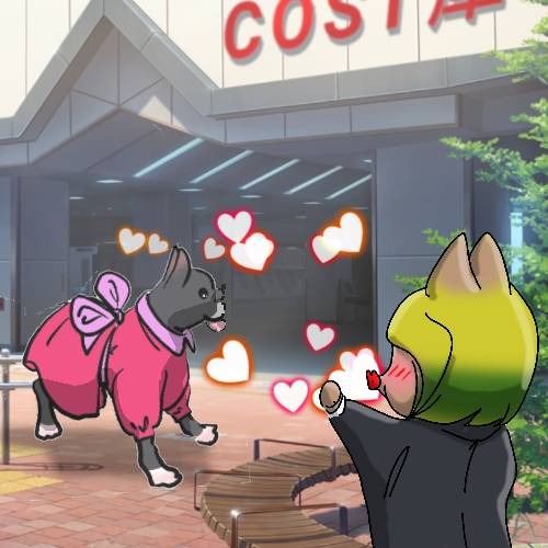 生き物ルーム第17