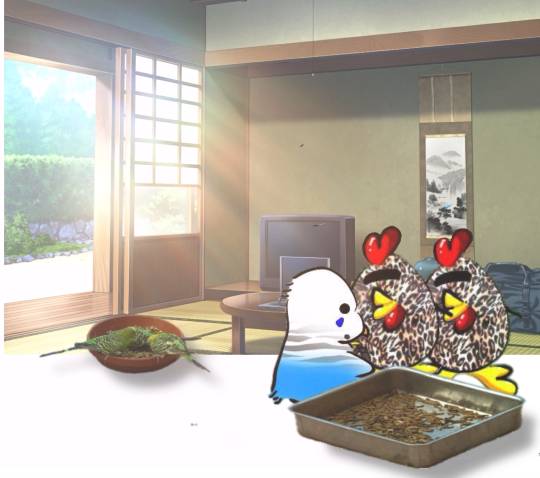 生き物ルーム第16