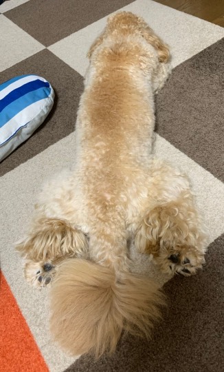 生き物ルーム第18