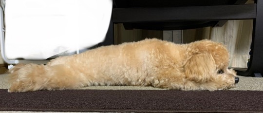 生き物ルーム第18