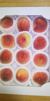 6月27日(土曜日)　和泉倉庫店｜おっとうふ　100円引き
いつまでの割...