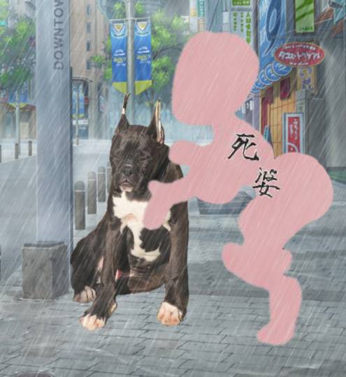 生き物ルーム第18