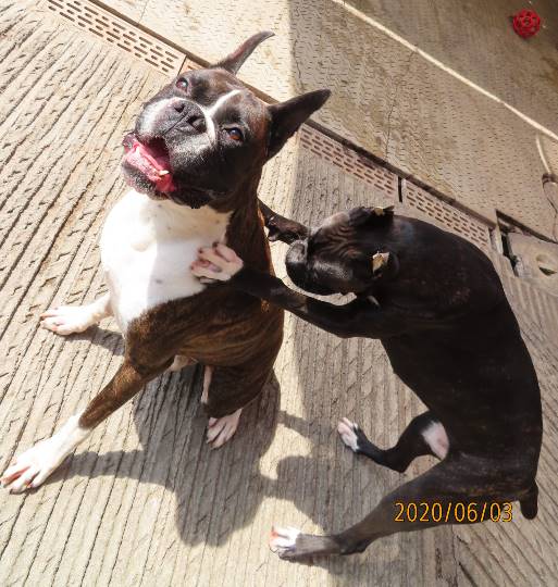 生き物ルーム第17