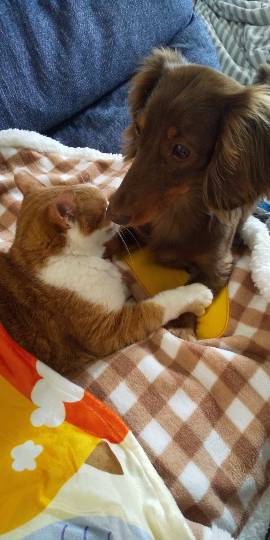 生き物ルーム第18