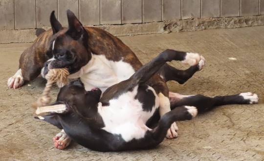 生き物ルーム第17