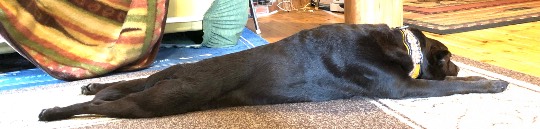 生き物ルーム第18