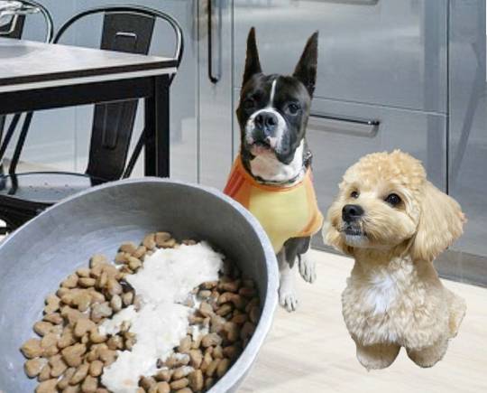 生き物ルーム第18