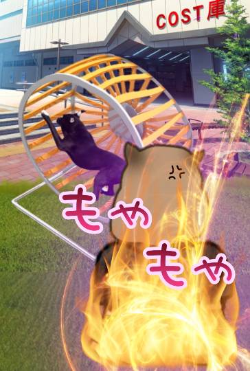 生き物ルーム第17