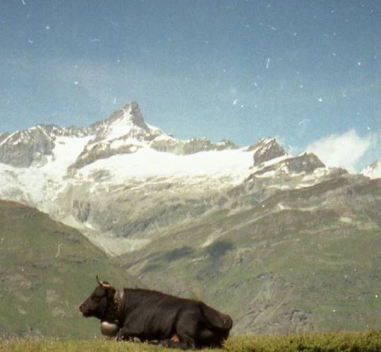 生き物ルーム第18