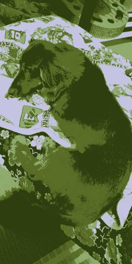 マスク同窓会詰所兼ニューフェイス歓迎所2