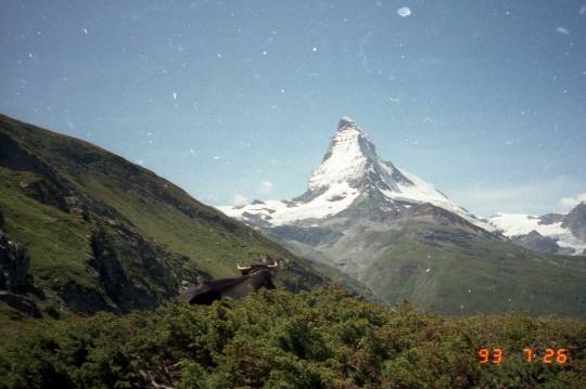 生き物ルーム第18