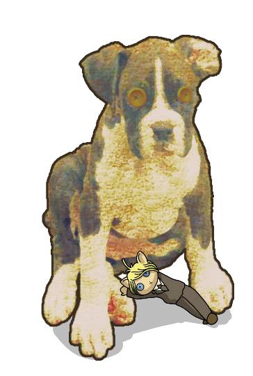 生き物ルーム第17