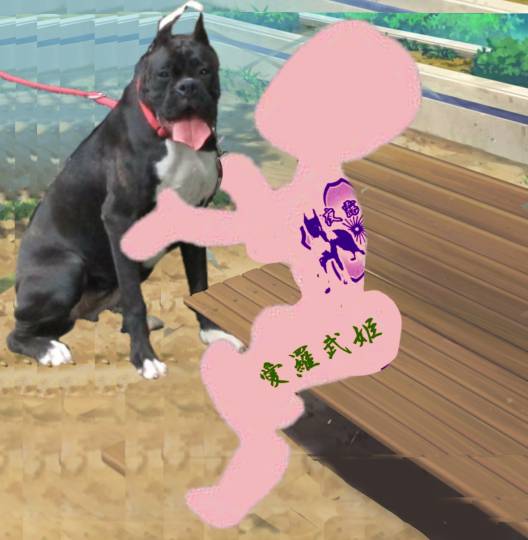 生き物ルーム第18