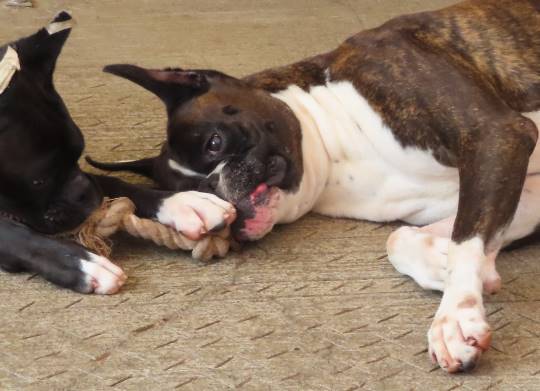 生き物ルーム第16