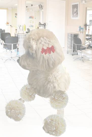 生き物ルーム第17