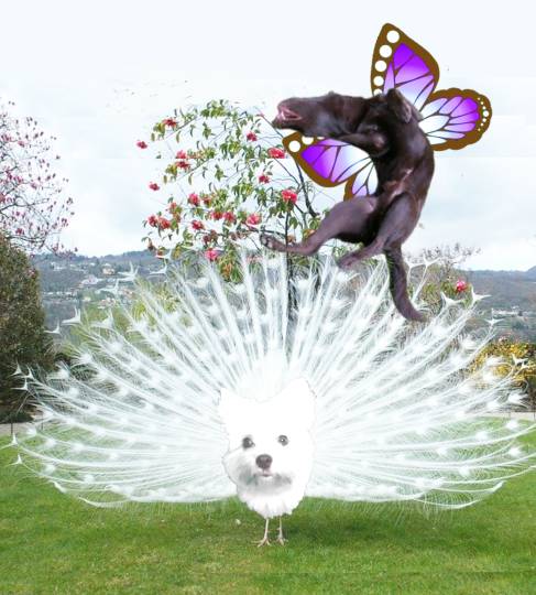 生き物ルーム第18