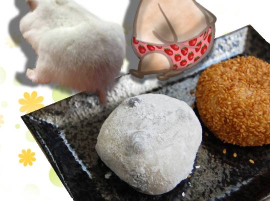 生き物ルーム第18