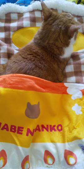 マスク同窓会詰所兼ニューフェイス歓迎所2