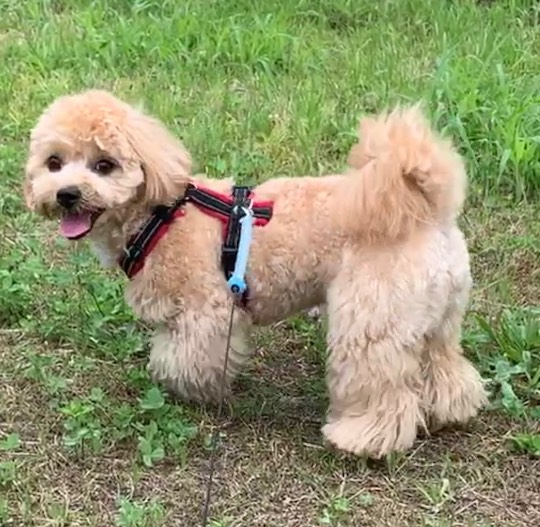 生き物ルーム第17