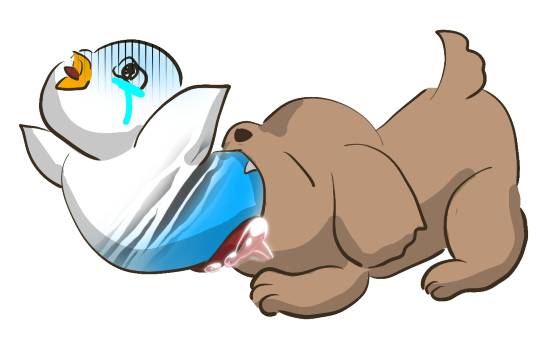 生き物ルーム第17