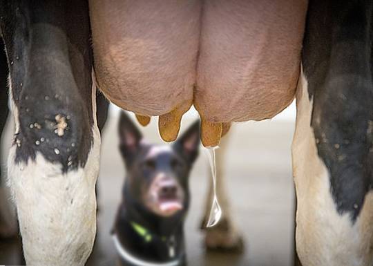 生き物ルーム第18