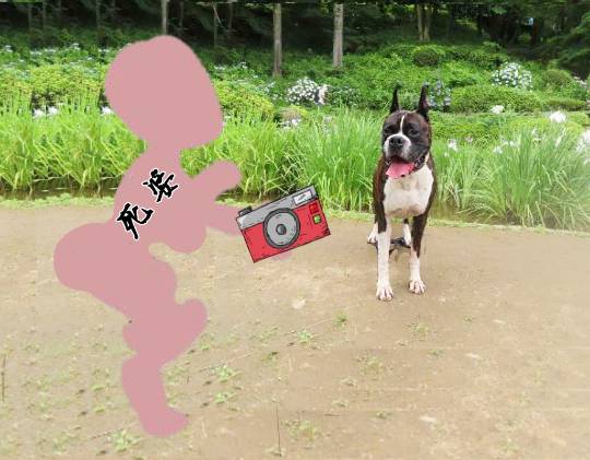 生き物ルーム第18